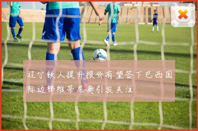 辽宁铁人提升报价有望签下巴西国际边锋维蒂尼奥引发关注